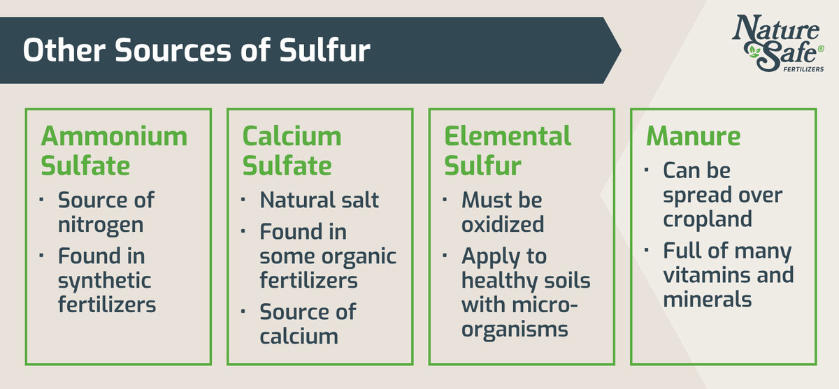 The Benefits of Sulfur in Your Fertilizer Nature Safe Fertilizers